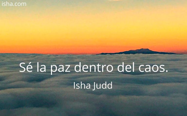 Frase del día