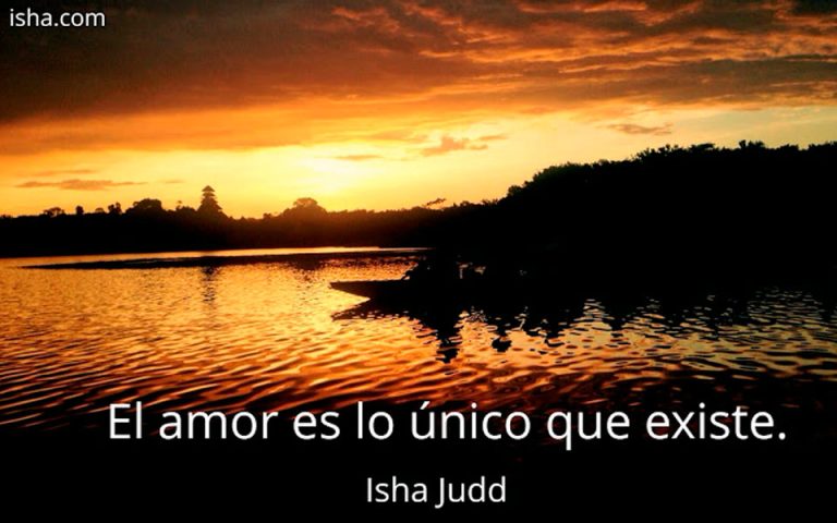 Frase del día