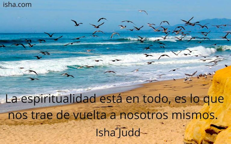 Frase del día