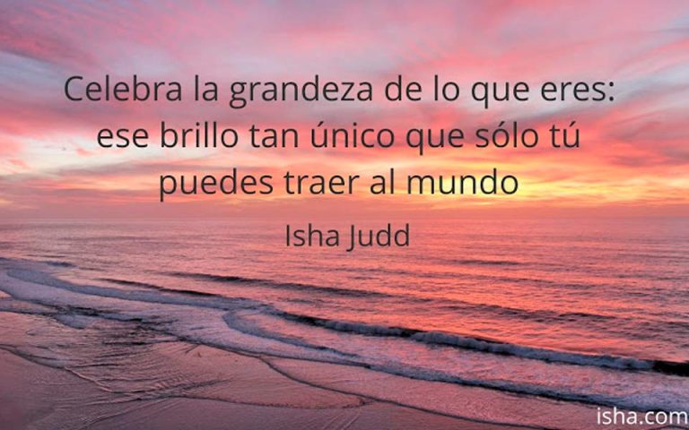 Frase del día