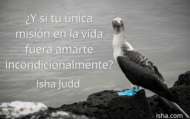 Frase del día