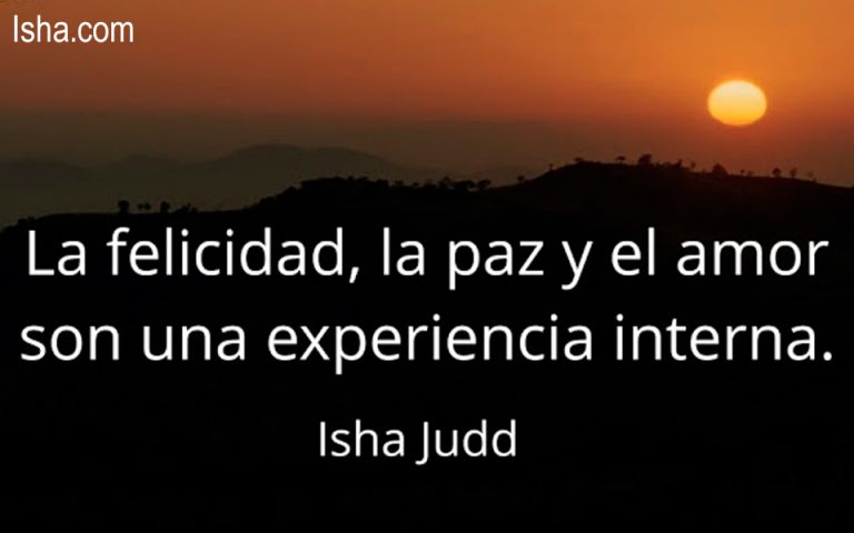 Frase del día