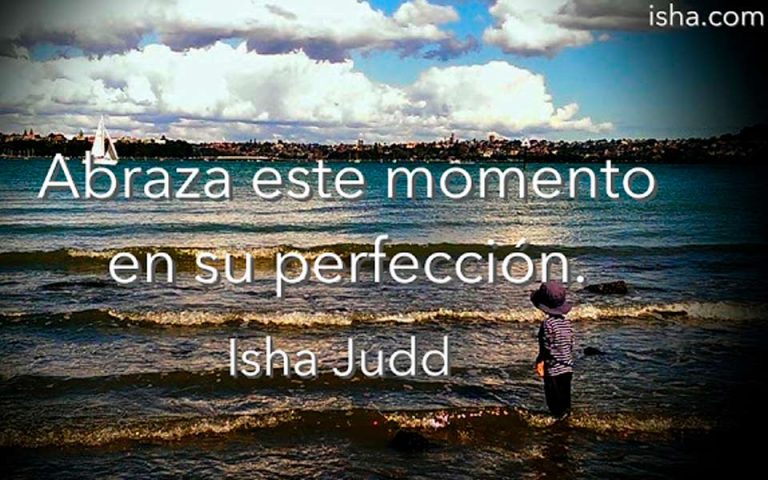 Frase del día