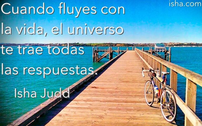 Frase del día