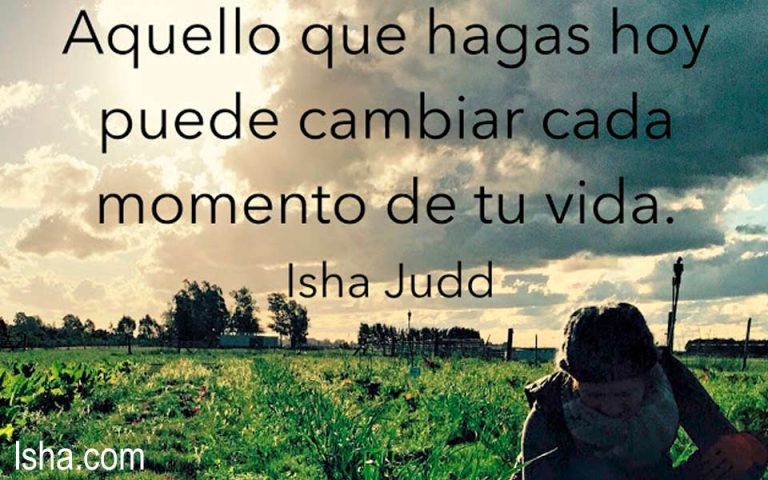 Frase del día