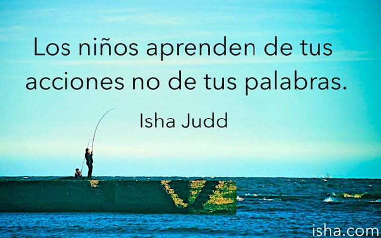 Frase del día