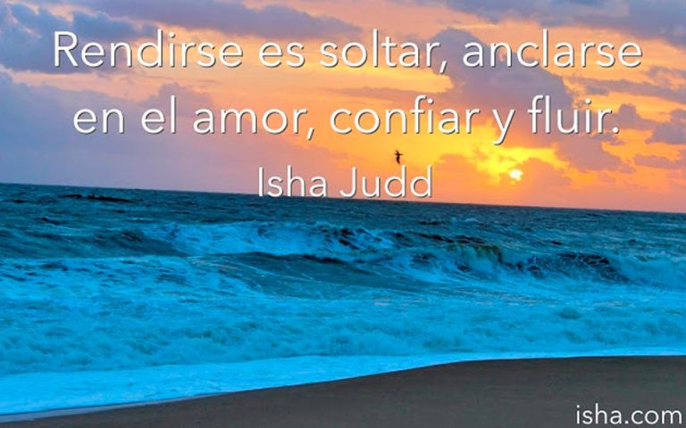 Frase del día