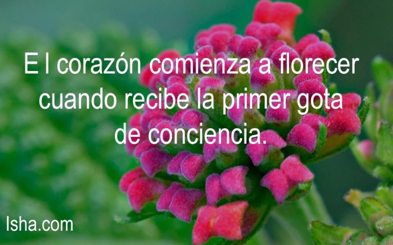 Frase del día