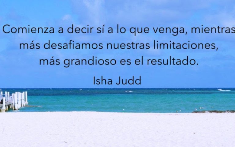 Frase del día