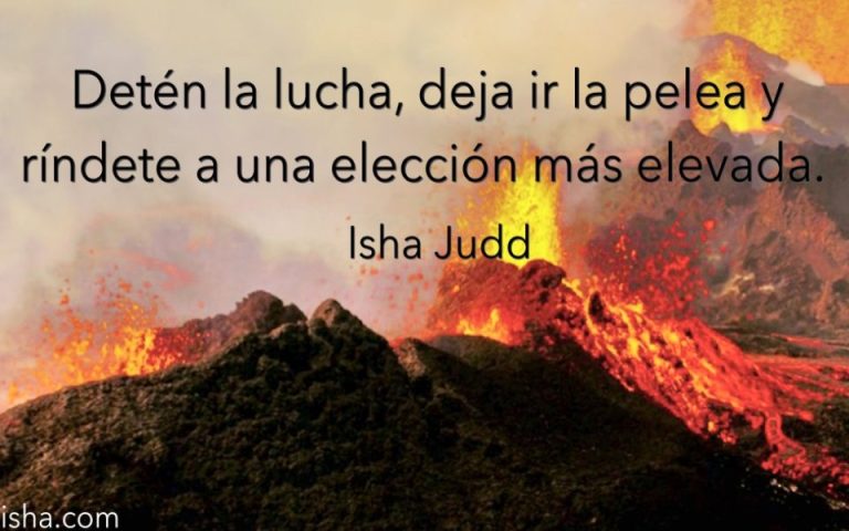 Frase del día