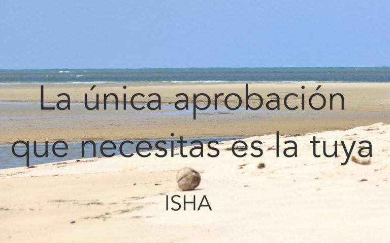 Frase del día
