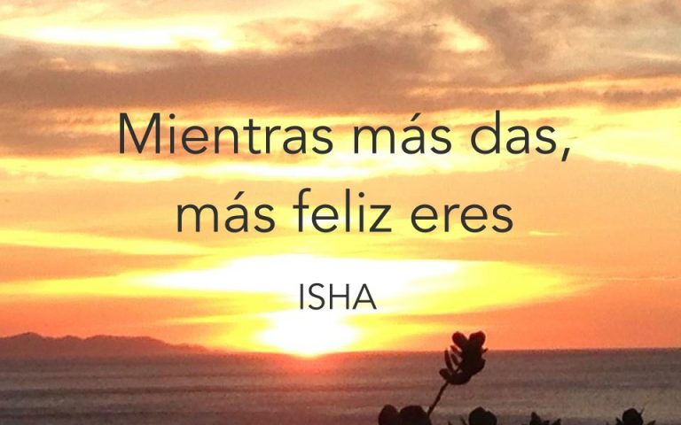 Frase del día