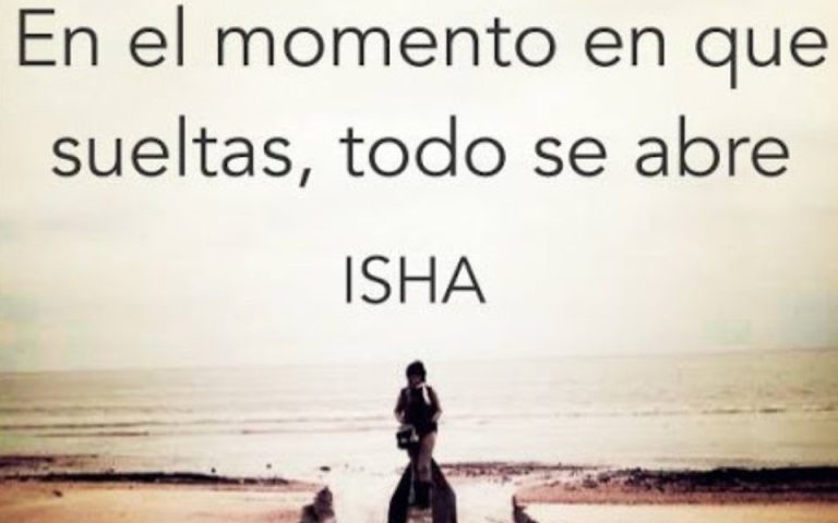 Frase del día