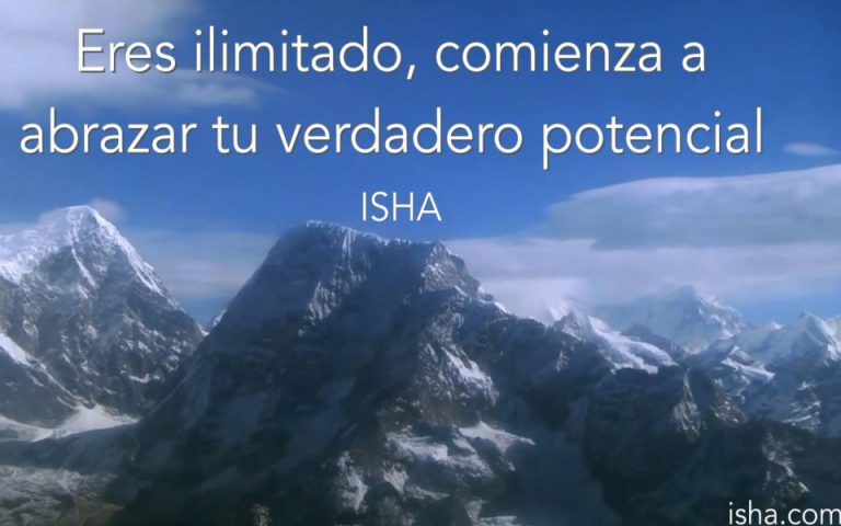 Frase del día