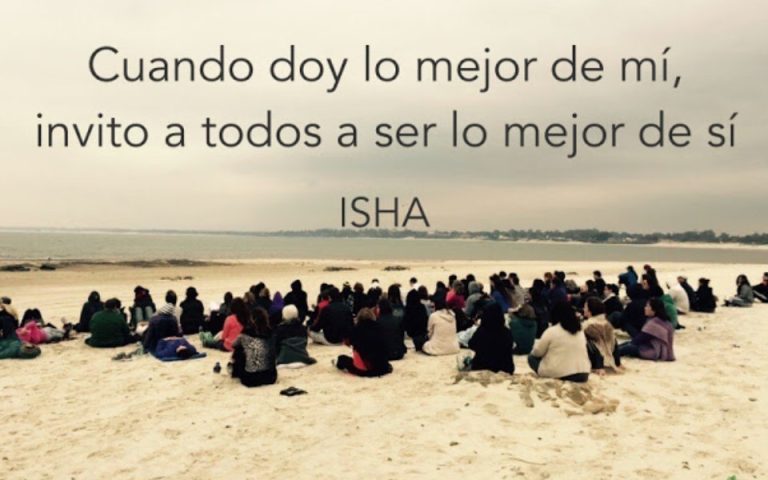 Frase del día