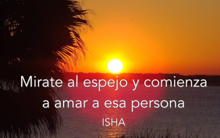 Frase del día