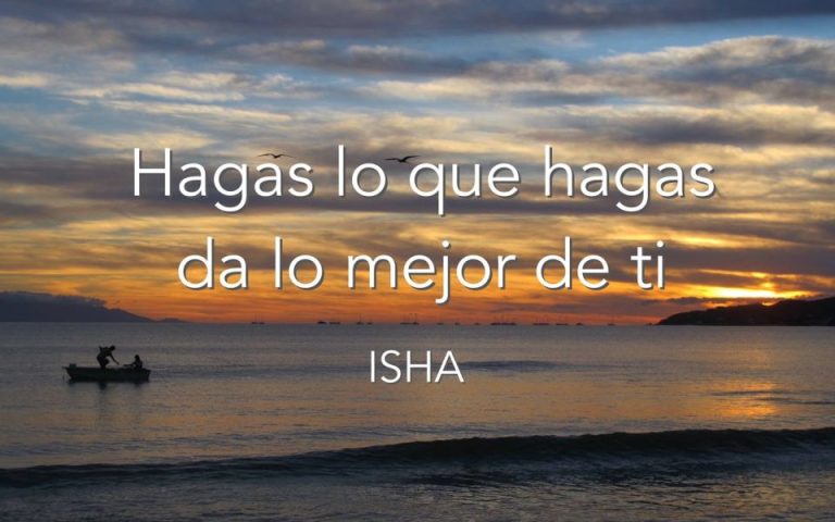 Frase del día