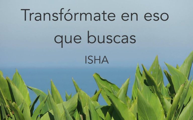 Frase del día
