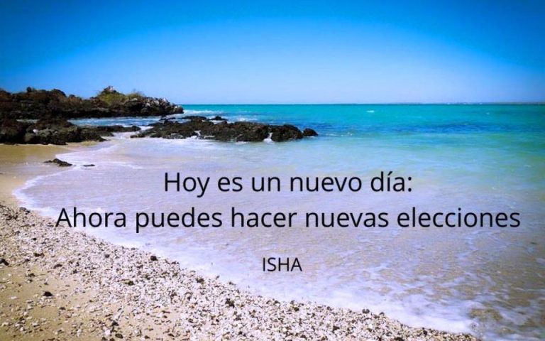 Frase del día