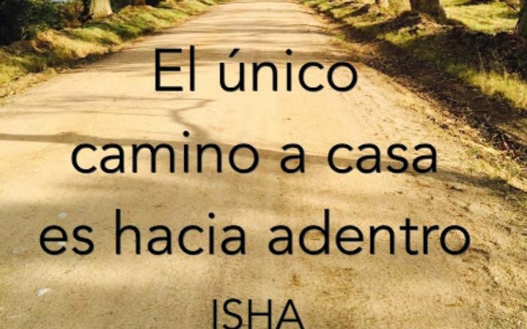 Frase del día