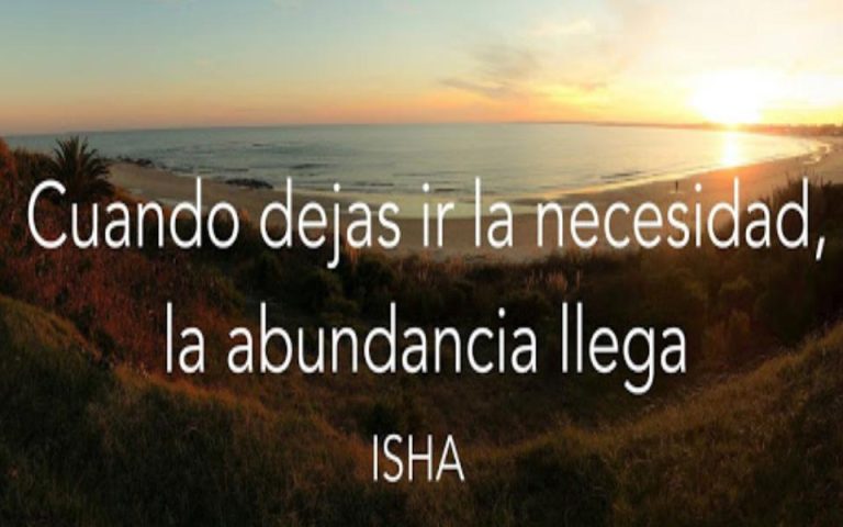 Frase del día