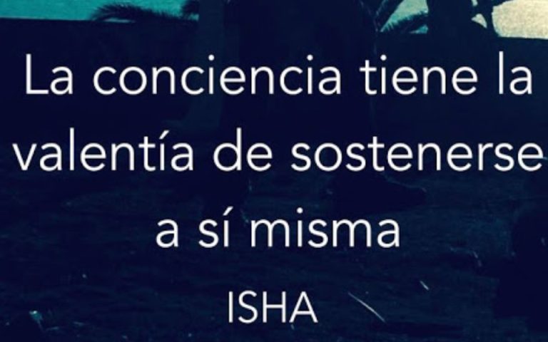 Frase del día