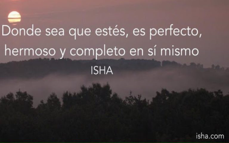 Frase del día