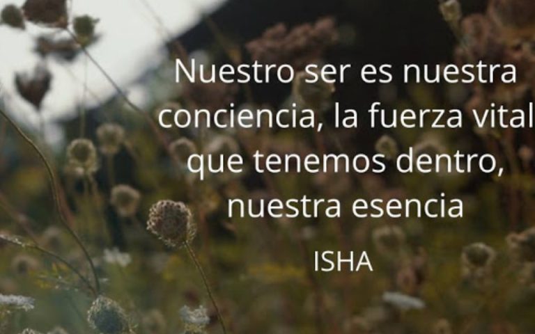 Frase del día
