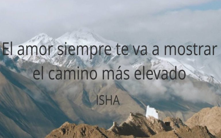 Frase del día 314