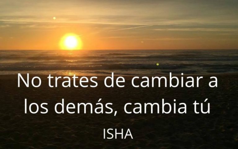 Frase del día