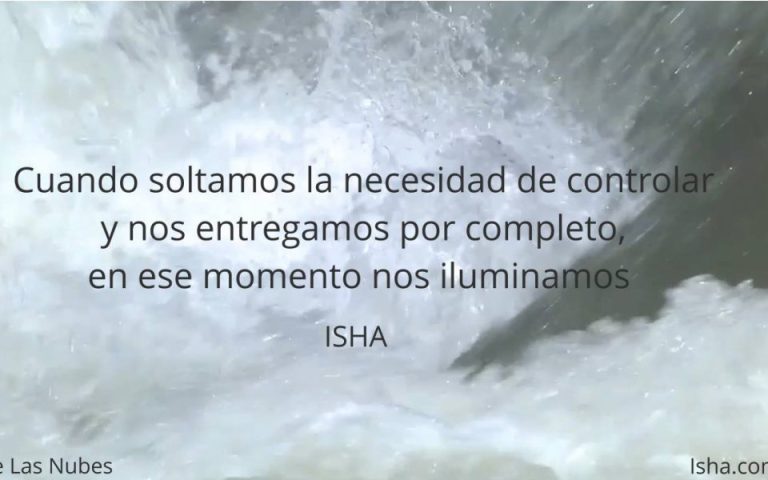Frase del día