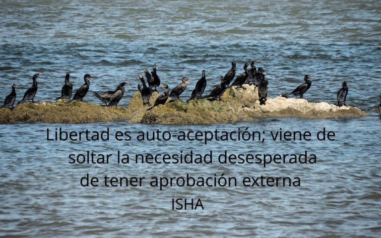Frase del día