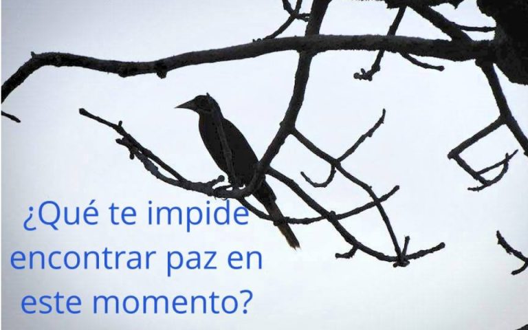 Frase del día