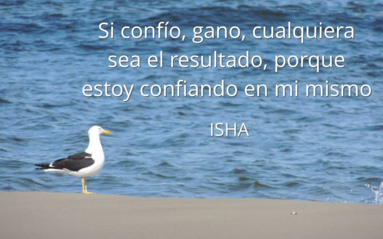 Frase del día