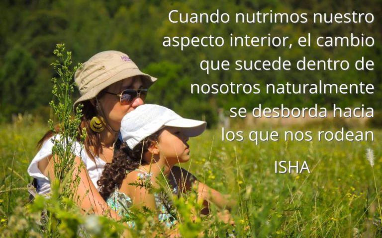 Frase del día