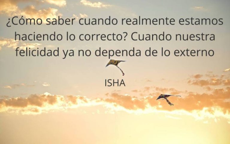 Frase del día