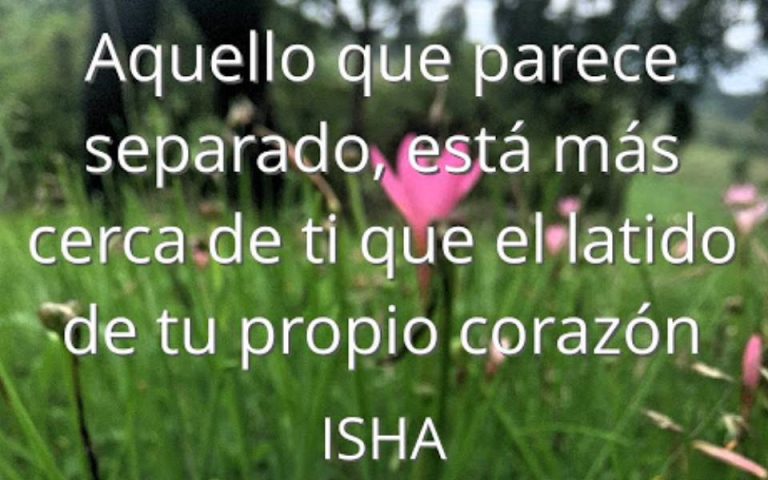 Frase del día