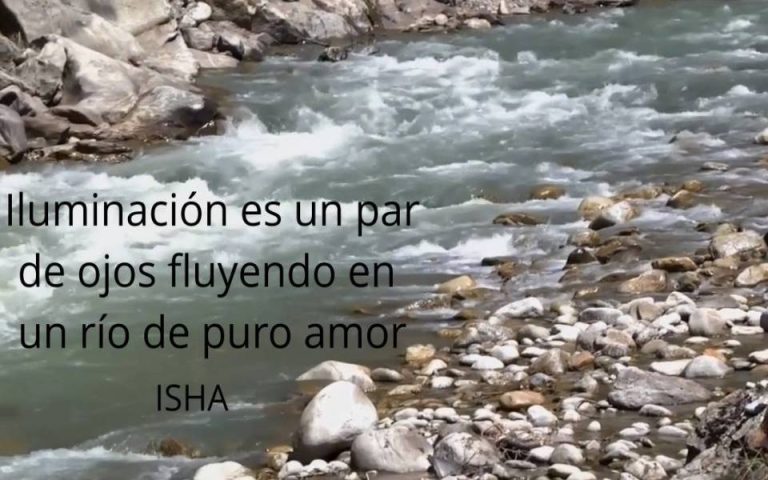Frase del día