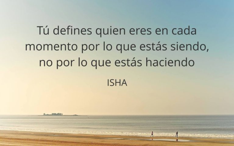 Frase del día