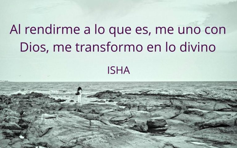 Frase del día
