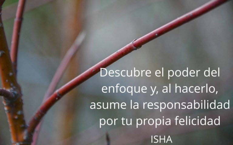 Frase del día