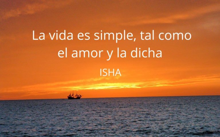 Frase del día
