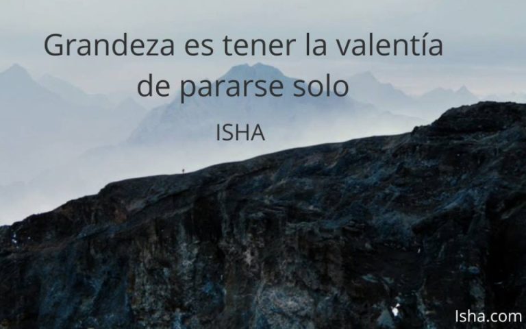 Frase del día