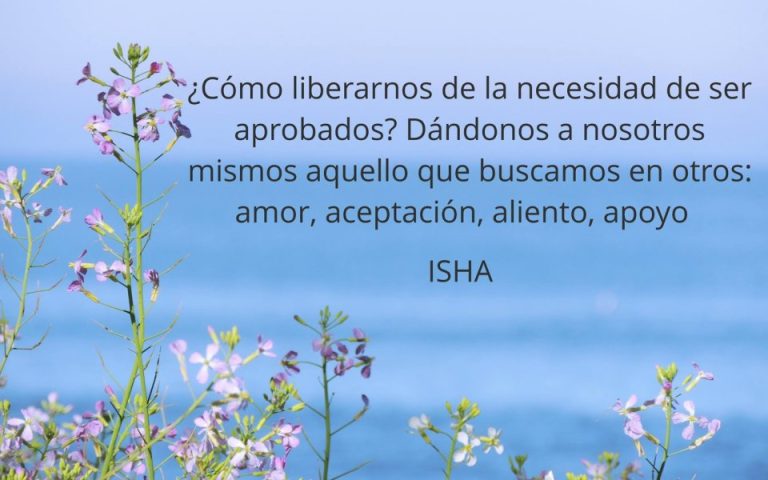 Frase del día