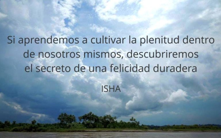 Frase del día