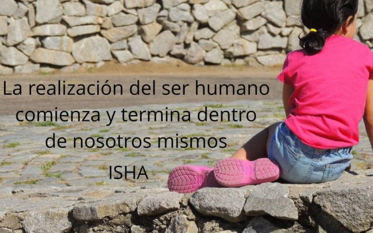 Frase del día