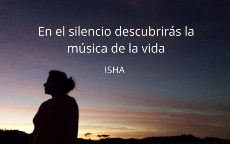Frase del día