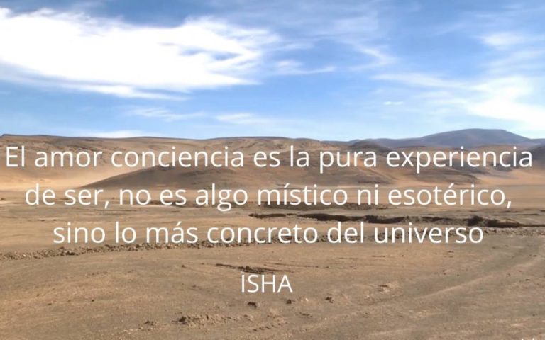 Frase del día