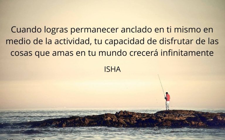 Frase del día