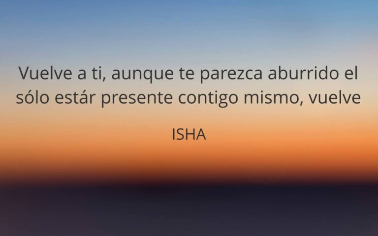 Frase del día